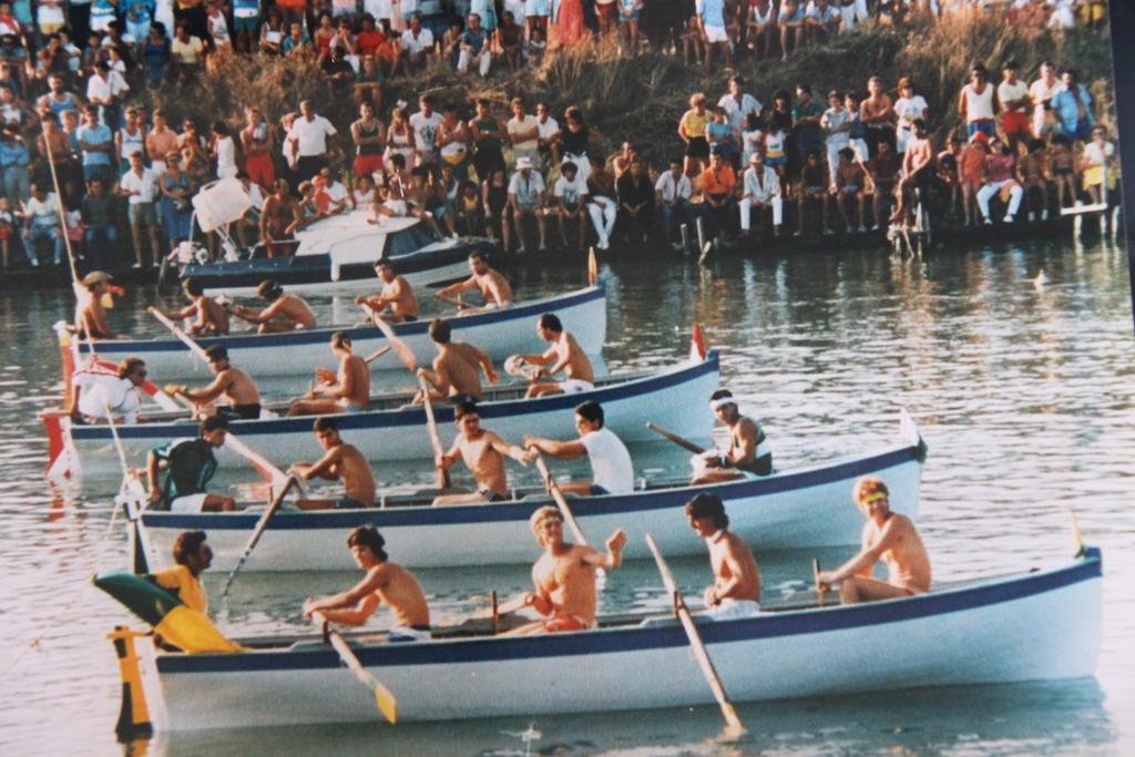 Cav Brunella Castiglione della Pescaia Pokój zdjęcie